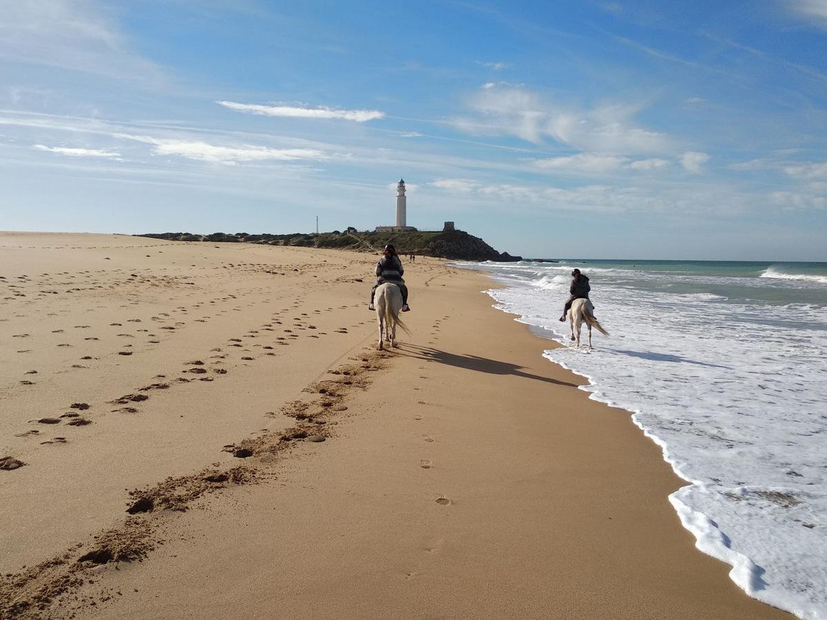 Viviendas Turisticas El Mero Zahora Kültér fotó